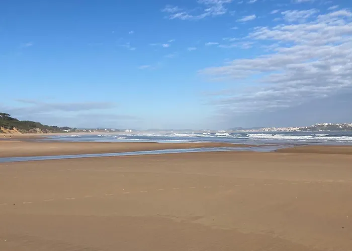 Con Jardin Long 로레도