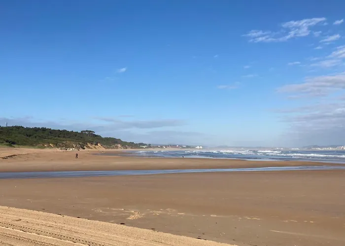 Con Jardin Long 로레도