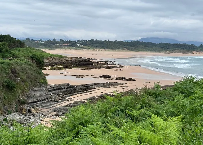 Con Jardin Long 아파트 로레도